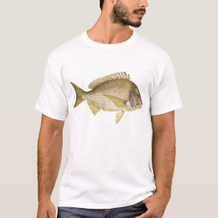 T-shirt Poisson - Noir noir - Mylio australis