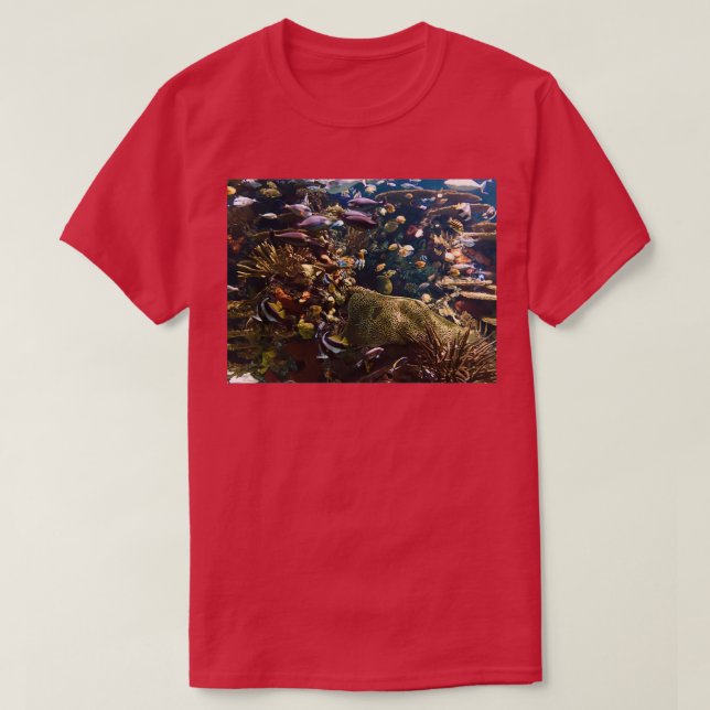 T-shirt Poisson tropical 2 (Design devant)