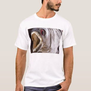 T-shirt Poissons de piranha comme le trophée sur le bois a