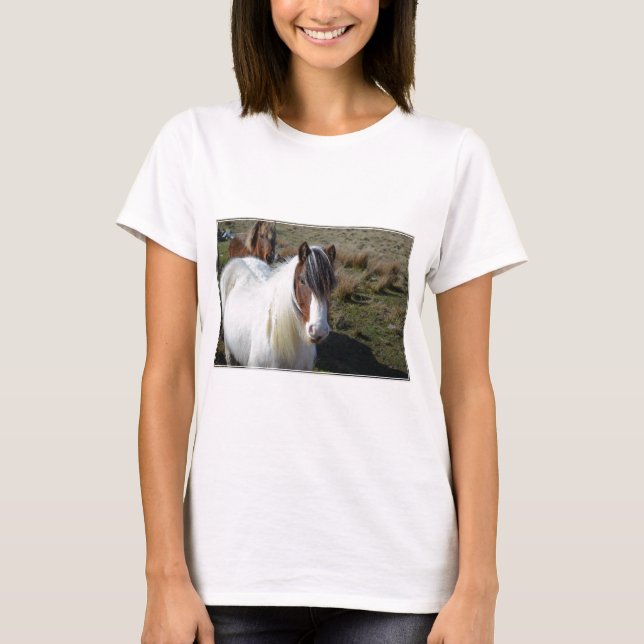 T-shirt Poney de Connemara (Devant)