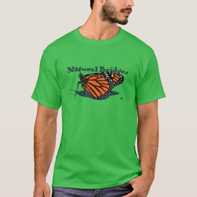 T-shirt Ponts naturels de Stephen Hosmer (Devant)