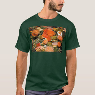 T-shirt Pool de marées
