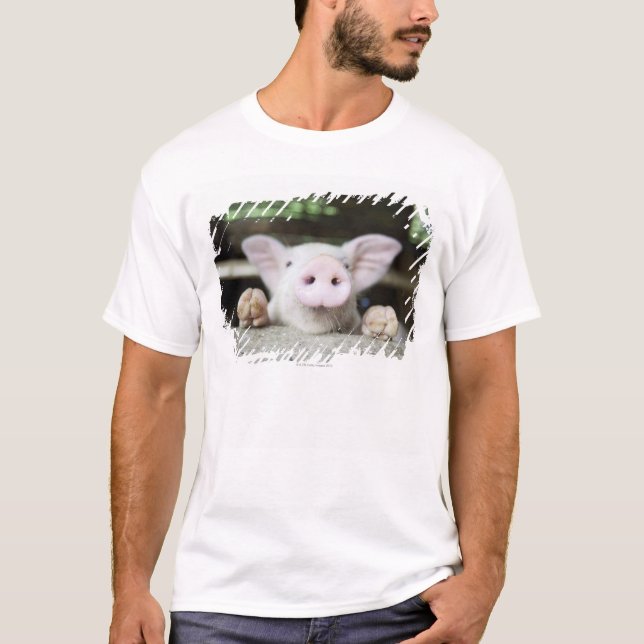 T-shirt Porc de bébé dans le stylo, porcelet (Devant)