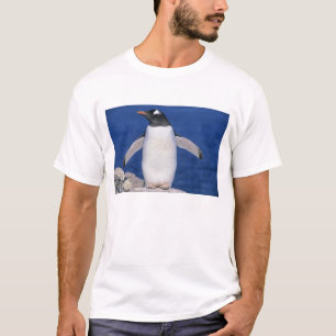 T-shirt Port du Manchot papou (Pygoscelis papua)