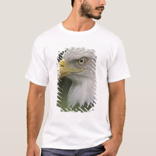 T-shirt Portrait d'aigle à tête blanche adulte, Haliaeetus