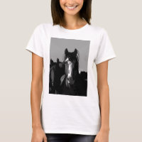 Portrait de cheval noir et blanc