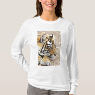 T-shirt Portrait du Tigre royal du Bengale, Ranthambhor