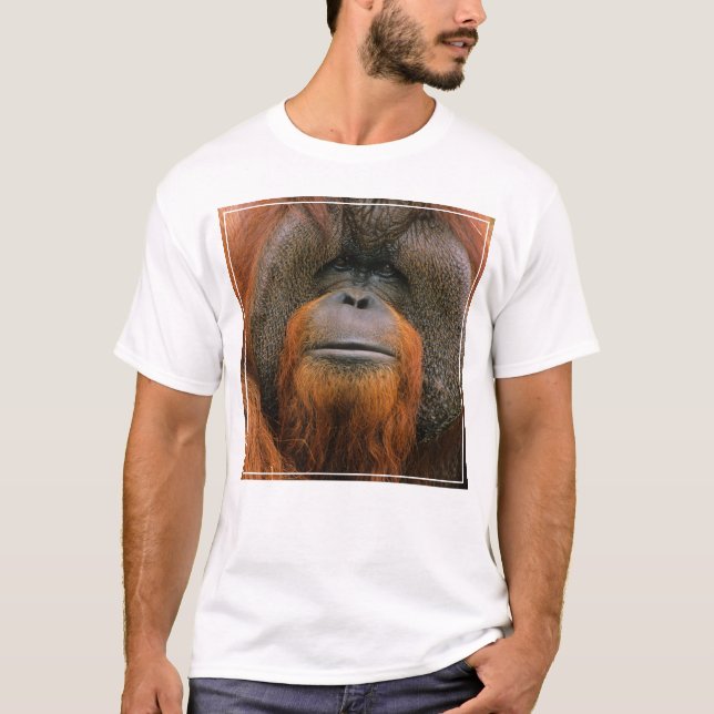 T-shirt Portrait of Orang-utang Male, Georgia, USA (Devant)