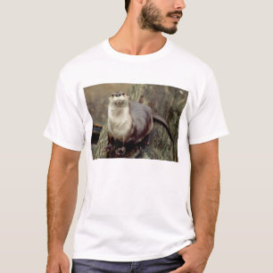 T-shirt Pose de loutre de rivière