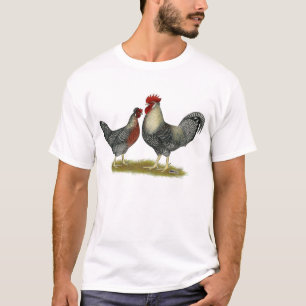 T-shirt Poulets crèmes de Legbar