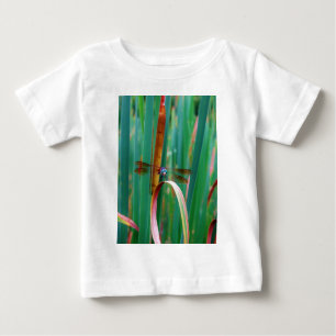 T-shirt Pour Bébé A teal Eyed Dragonfly with cattails