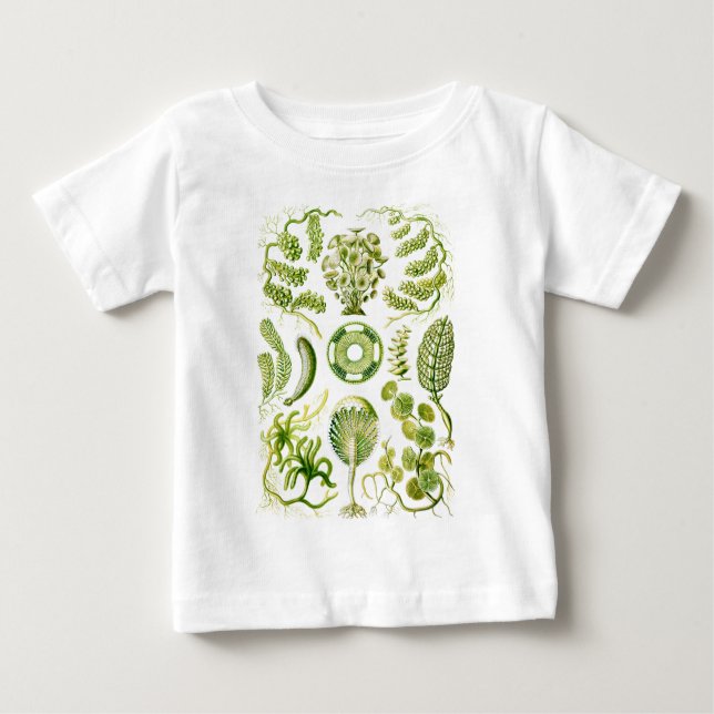 T-shirt Pour Bébé Algues vertes (Devant)