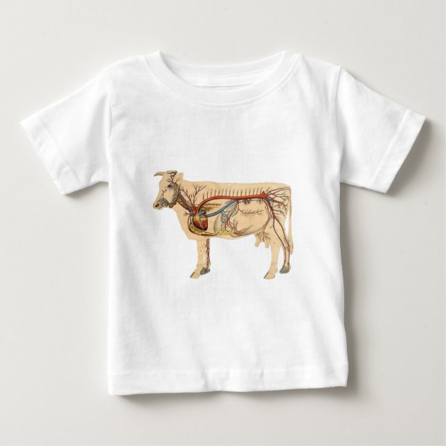 T-shirt Pour Bébé Anatomical Cute Cow (Devant)