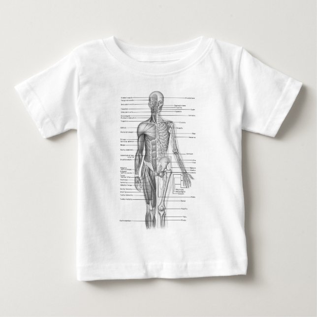 T-shirt Pour Bébé Anatomie humaine (Devant)