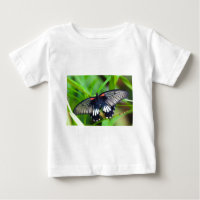 Beau Papillon noir, blanc et rouge
