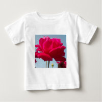 Belle belle Rose céleste rouge contre bleu