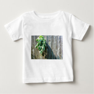 T-shirt Pour Bébé Bois de Grange frais coupé