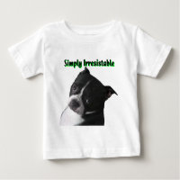Boston Terrier : Tout simplement irrésistible