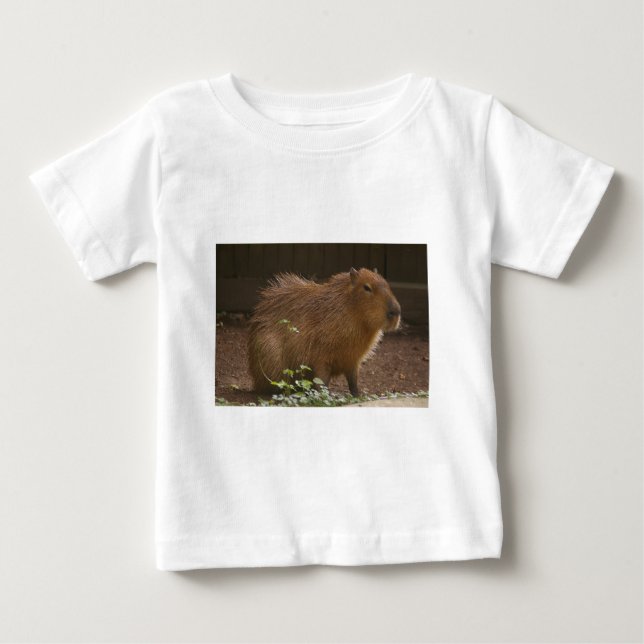 T-shirt Pour Bébé Capybara (Devant)