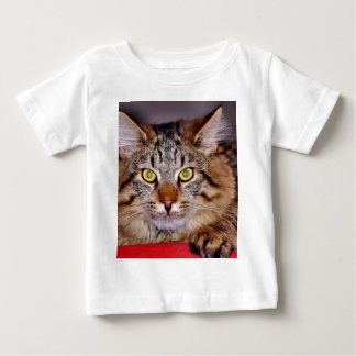 T-shirt Pour Bébé Chat du Maine-Coone