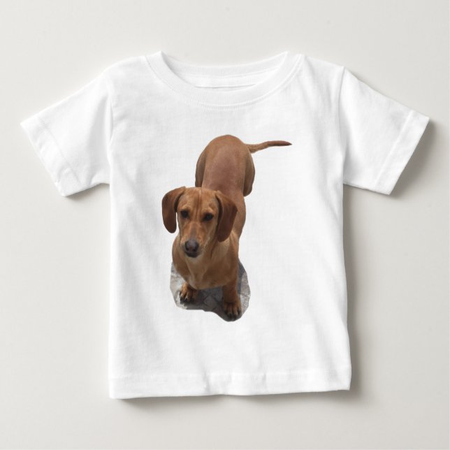 T-shirt Pour Bébé Chien Brown mignon Dachshund (Devant)