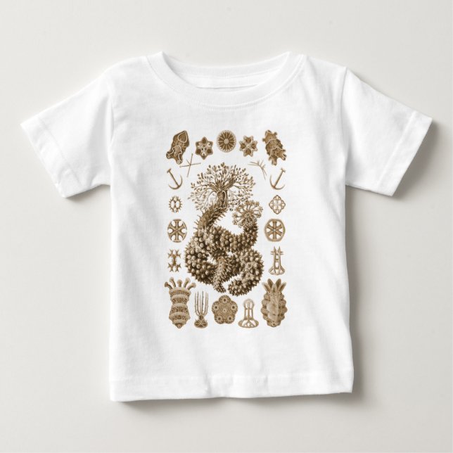 T-shirt Pour Bébé Concombres de mer (Devant)