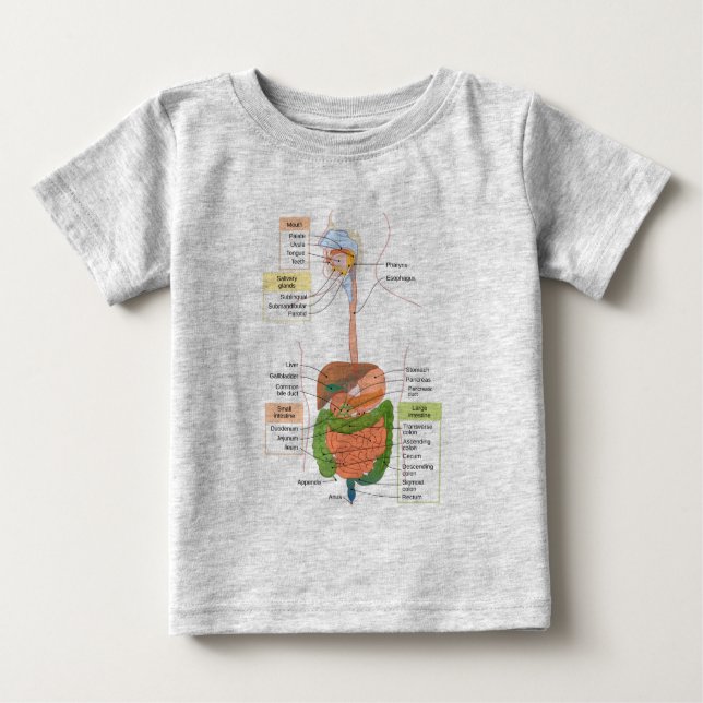 T-shirt Pour Bébé Diagramme Système digestif gastro-intestinal humai (Devant)