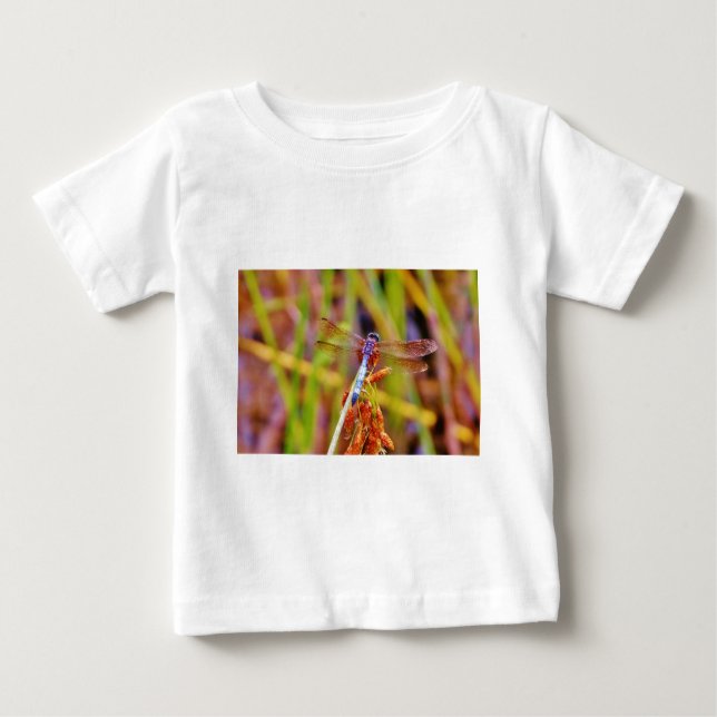T-shirt Pour Bébé Dragonfly turquoise sur le carex (Devant)