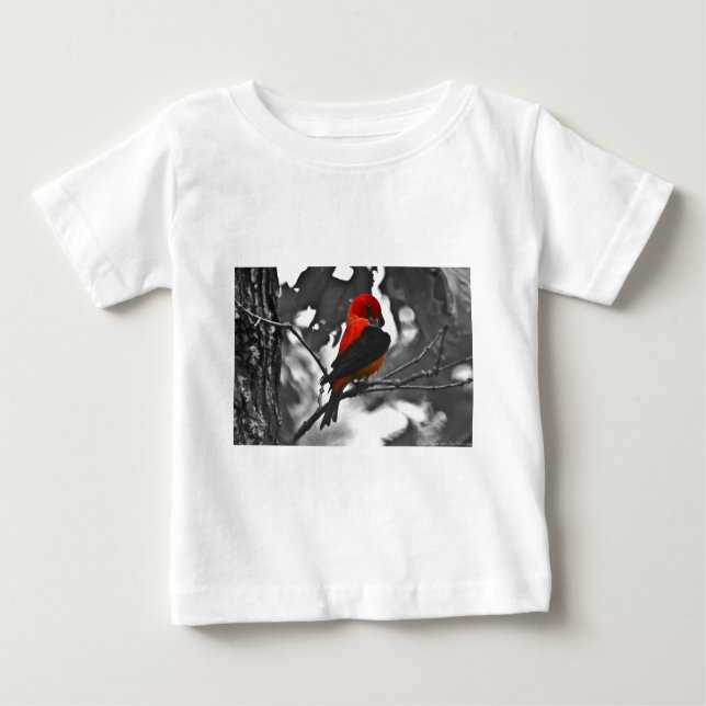 T-shirt Pour Bébé Homme Scarlet Tanager (Devant)
