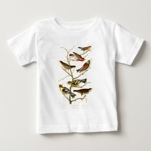 T-shirt Pour Bébé Oiseaux de John James Audubon de pinson de (Devant)