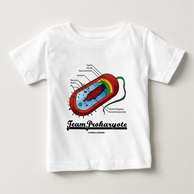 T-shirt Pour Bébé Prokaryote d'équipe (bactéries) (Devant)