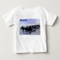 Timbres des épaulards d'Alaska