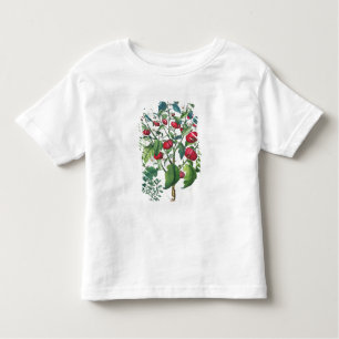 T-shirt Pour Les Tous Petits 1.Solanum Pomiferum ; 2.Amaracus vulgaris, du