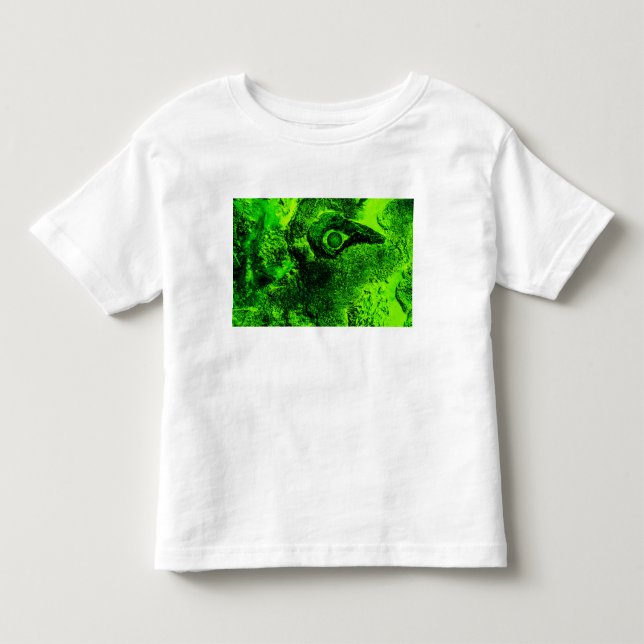 T-shirt Pour Les Tous Petits à la recherche de vert (Devant)
