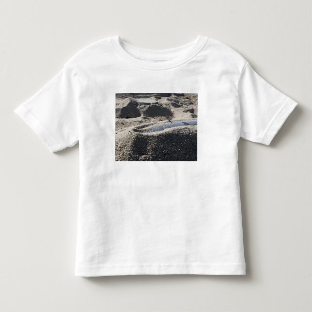 T-shirt Pour Les Tous Petits Affichage statique d'une coque de commande (Devant)