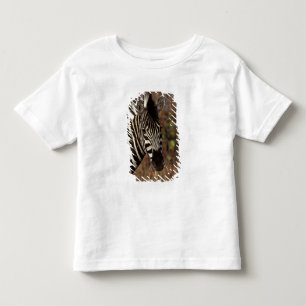 T-shirt Pour Les Tous Petits Afrique, Afrique du Sud, Kruger NP Portrait de zèb