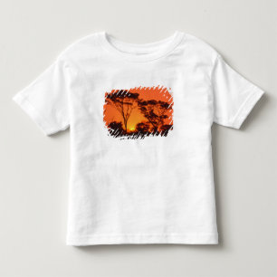 T-shirt Pour Les Tous Petits Afrique du Sud. Coucher de soleil africain.