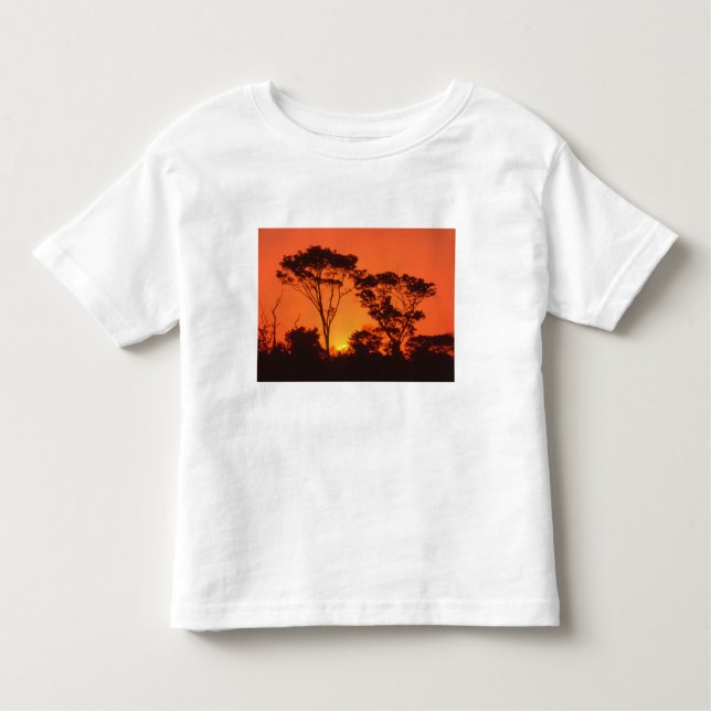 T-shirt Pour Les Tous Petits Afrique du Sud. Coucher de soleil africain. (Devant)