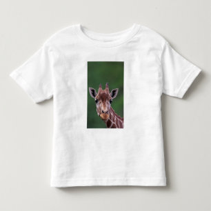 T-shirt Pour Les Tous Petits Afrique, Kenya, Impala Ranch. Réticulé