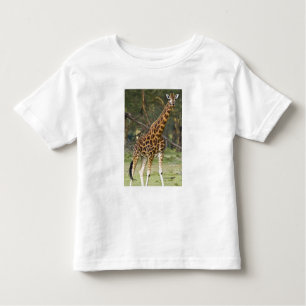 T-shirt Pour Les Tous Petits Afrique. Kenya. La girafe de Rothschild au lac 2