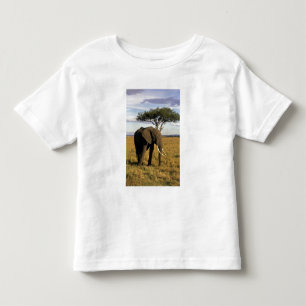 T-shirt Pour Les Tous Petits Afrique, Kenya, Maasai Mara. Un éléphant dans le