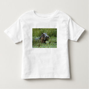 T-shirt Pour Les Tous Petits Afrique, Kenya, Masai Mara NR. Une mère hippo
