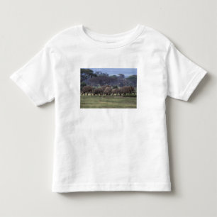 T-shirt Pour Les Tous Petits Afrique, Kenya, Parc national d'Amboseli. Éléphant