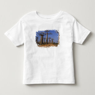 T-shirt Pour Les Tous Petits Afrique, Madagascar, Morondava, avenue Baobab.