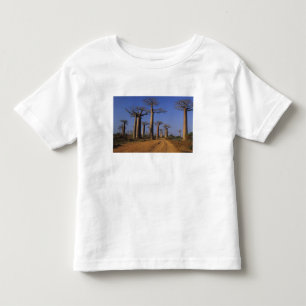 T-shirt Pour Les Tous Petits Afrique, Madagascar, Morondava, avenue Baobab.
