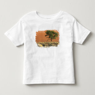 T-shirt Pour Les Tous Petits Afrique, Namibie, Parc national du Namib, Sossusvl