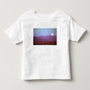 T-shirt Pour Les Tous Petits Afrique, Namibie, Sossusvlei. Une pleine lune repo