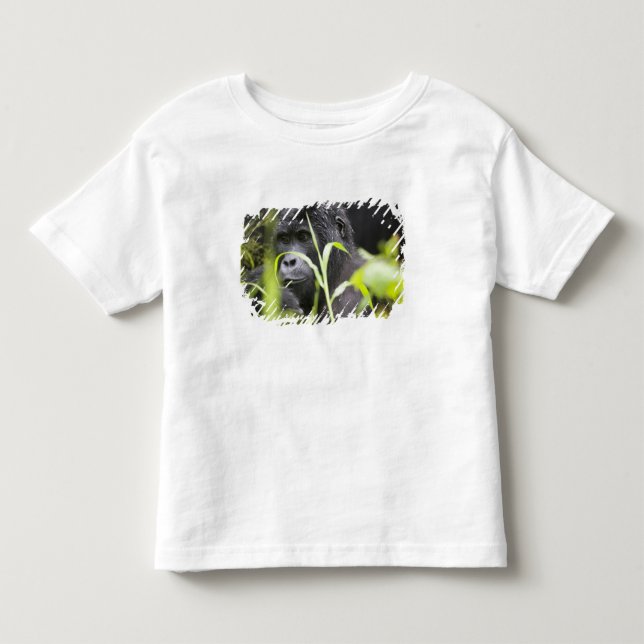 T-shirt Pour Les Tous Petits Afrique Ouganda, Bwindi (Devant)