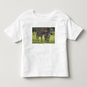 T-shirt Pour Les Tous Petits Afrique. Tanzanie. Zèbre commun mère et bébé