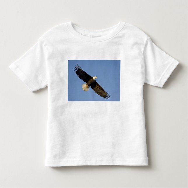 T-shirt Pour Les Tous Petits Aigle, Haliaeetus leucocephalus, Homer, 4 (Devant)